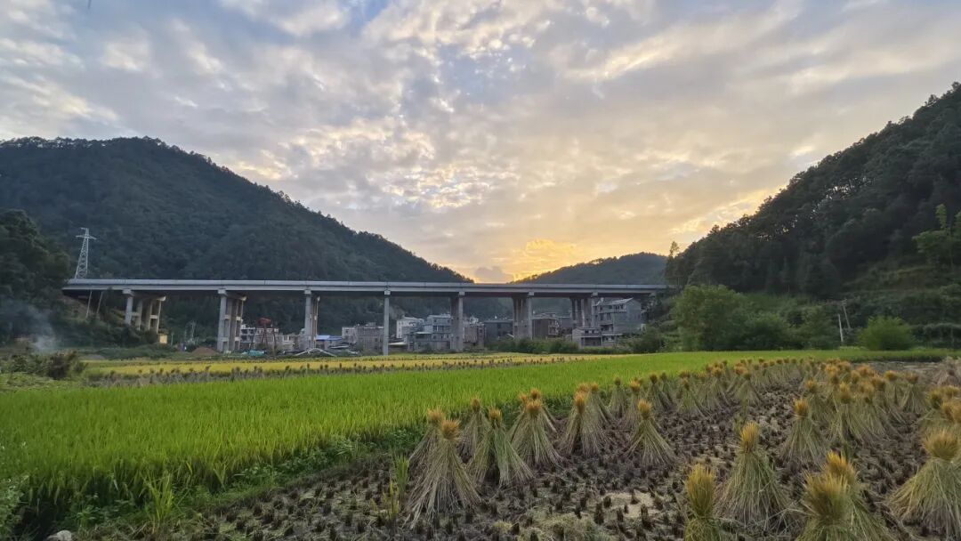 奮戰(zhàn)80天 決勝全年度 | 那興高速土建六分部“鐵三角”+“三保障”全力攻堅(jiān)通車(chē)目標(biāo)