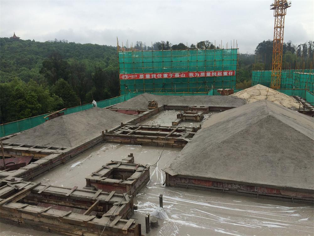 世博生態城-鳴鳳鄰里建設項目首棟封頂