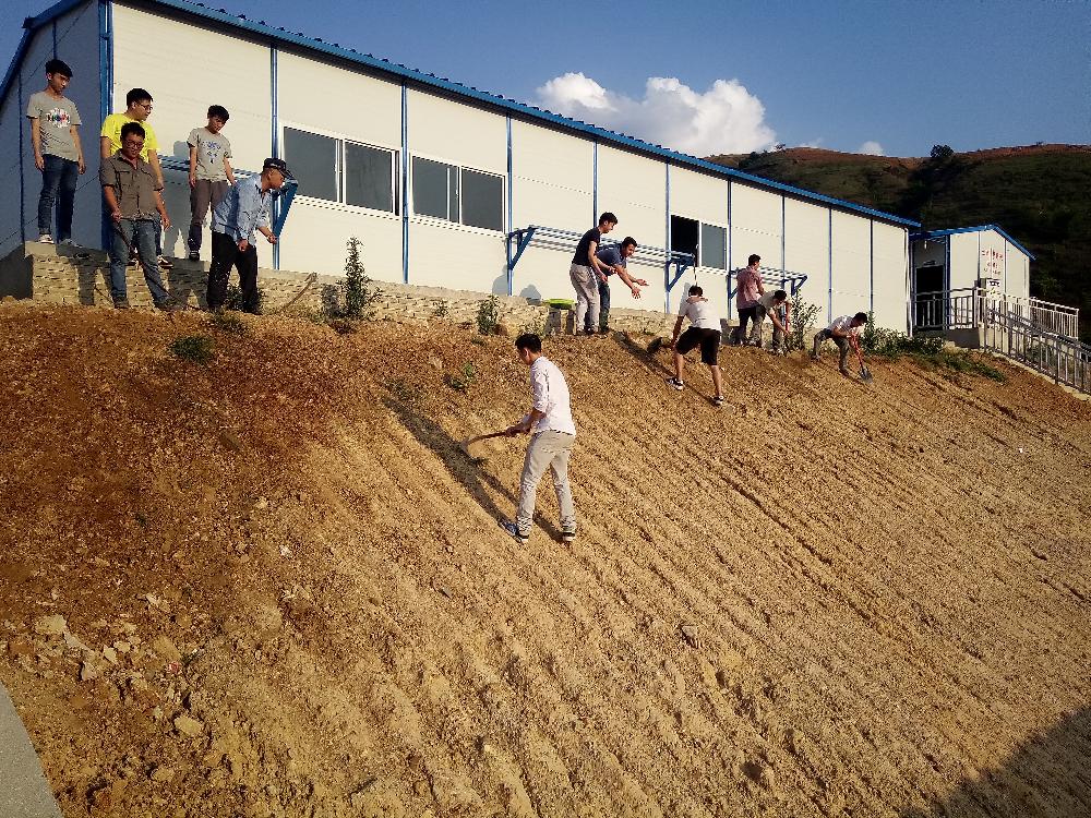 路橋市政直管部開展“融入自然、建綠色項目”活動