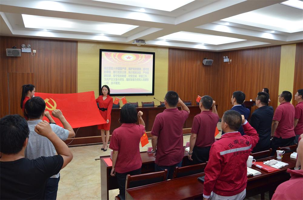 安裝分公司黨支部開展主題黨日活動