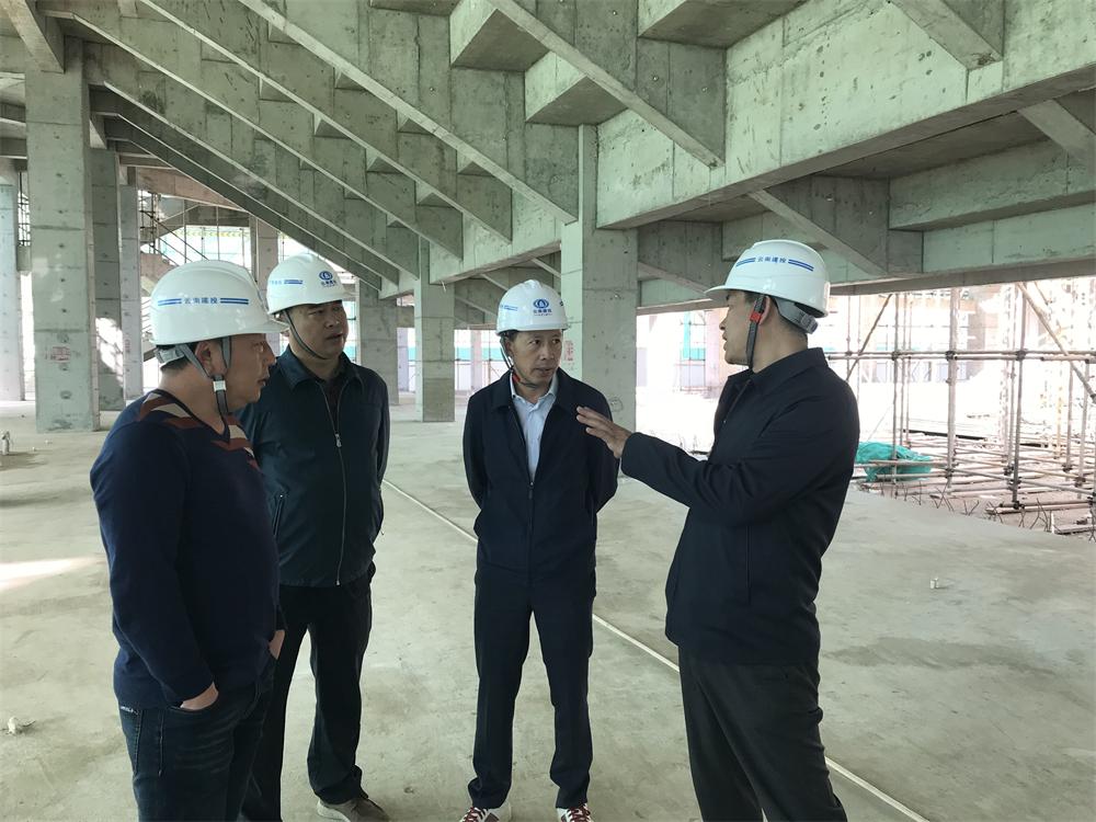 彭云到滇西科技師范學院項目調研