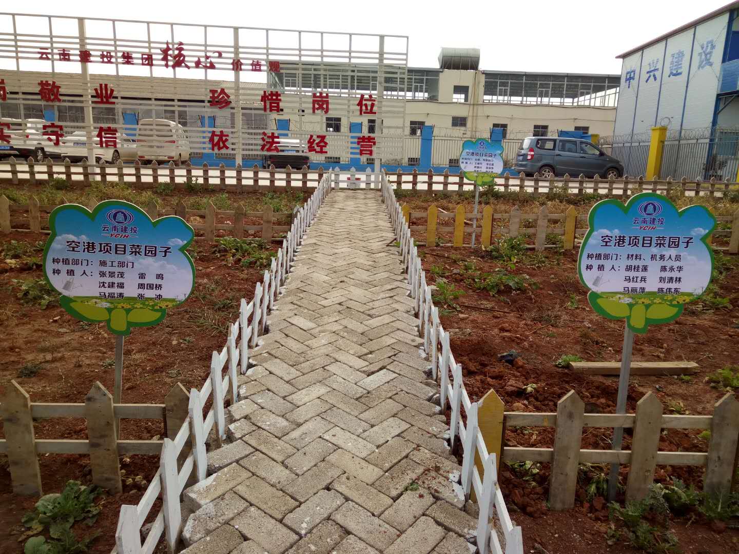 工地菜園也能“包干到戶”