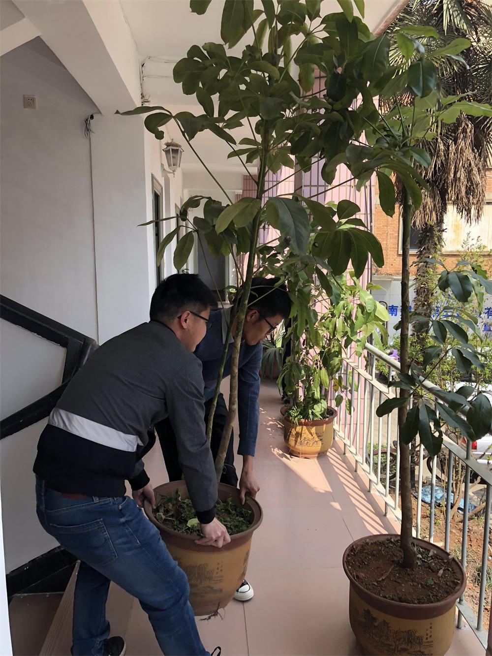 公司三基層單位組織植樹節活動