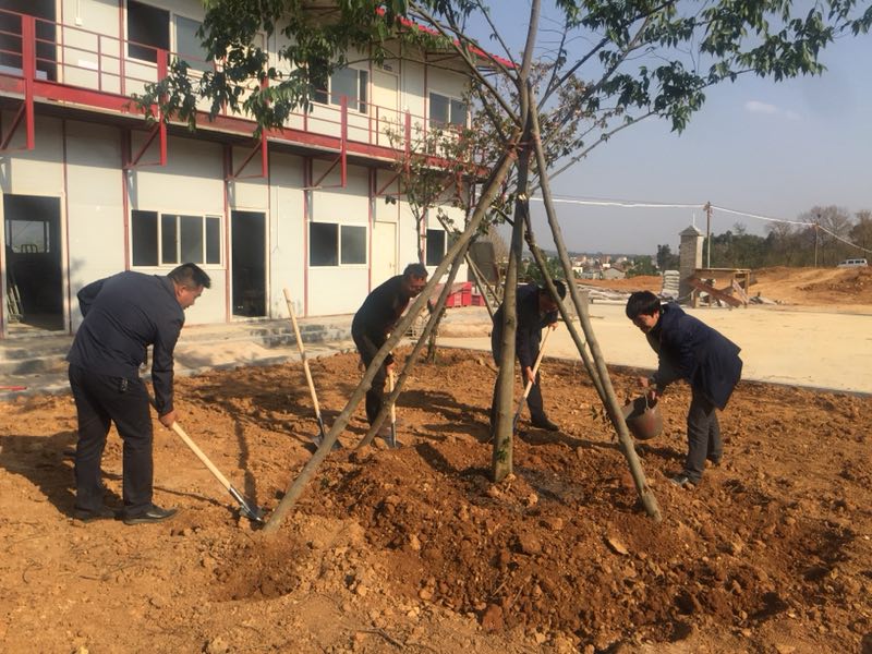 最是一年春光好 植樹添綠正當時
