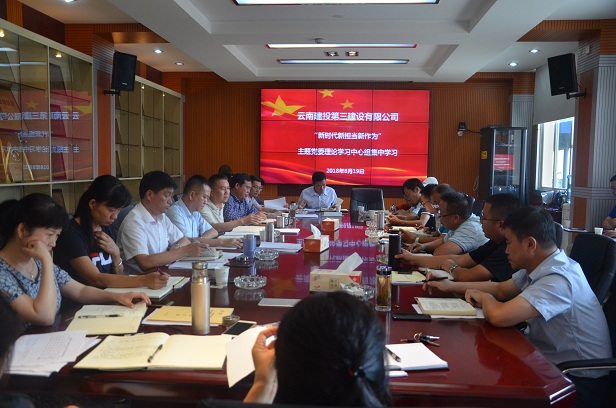 公司組織召開“新形勢新擔當新作為”主題黨委理論學習中心組集中學習