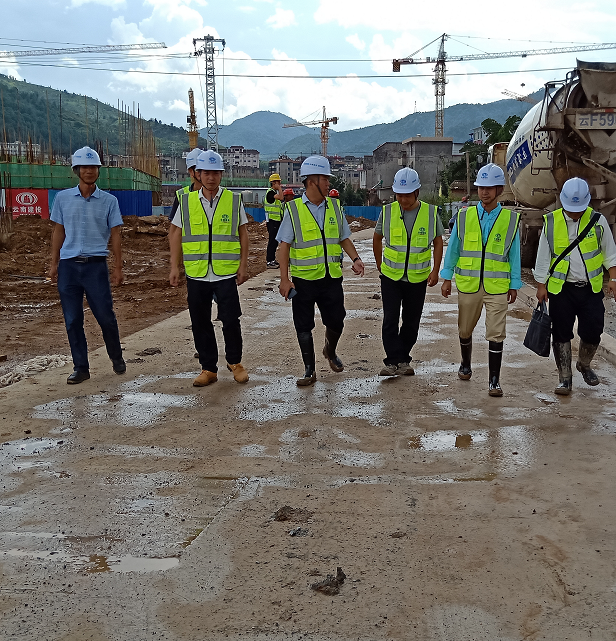 吳勇調研嶍峨古鎮項目