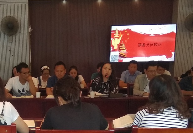 公司機關黨支部組織開展“新時代、新擔當、新作為”主題黨日活動