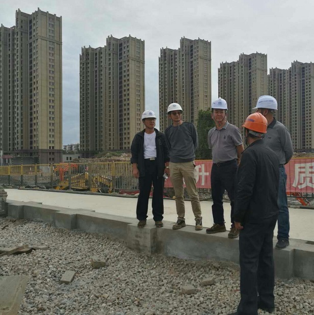 吳勇到曲靖印染廠棚改項目檢查指導工作