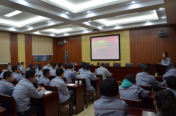 公司安裝分公司黨支部組織“我愛你，中國”主題黨日活動