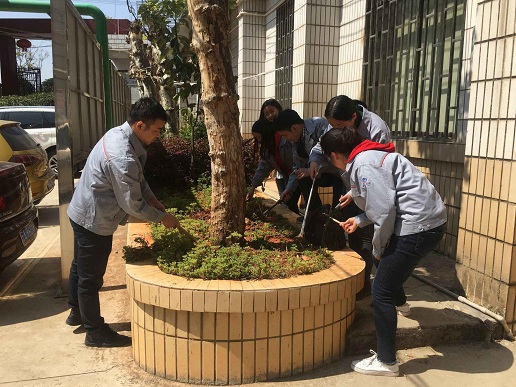 公司兩家單位組織植樹節(jié)美化環(huán)境活動