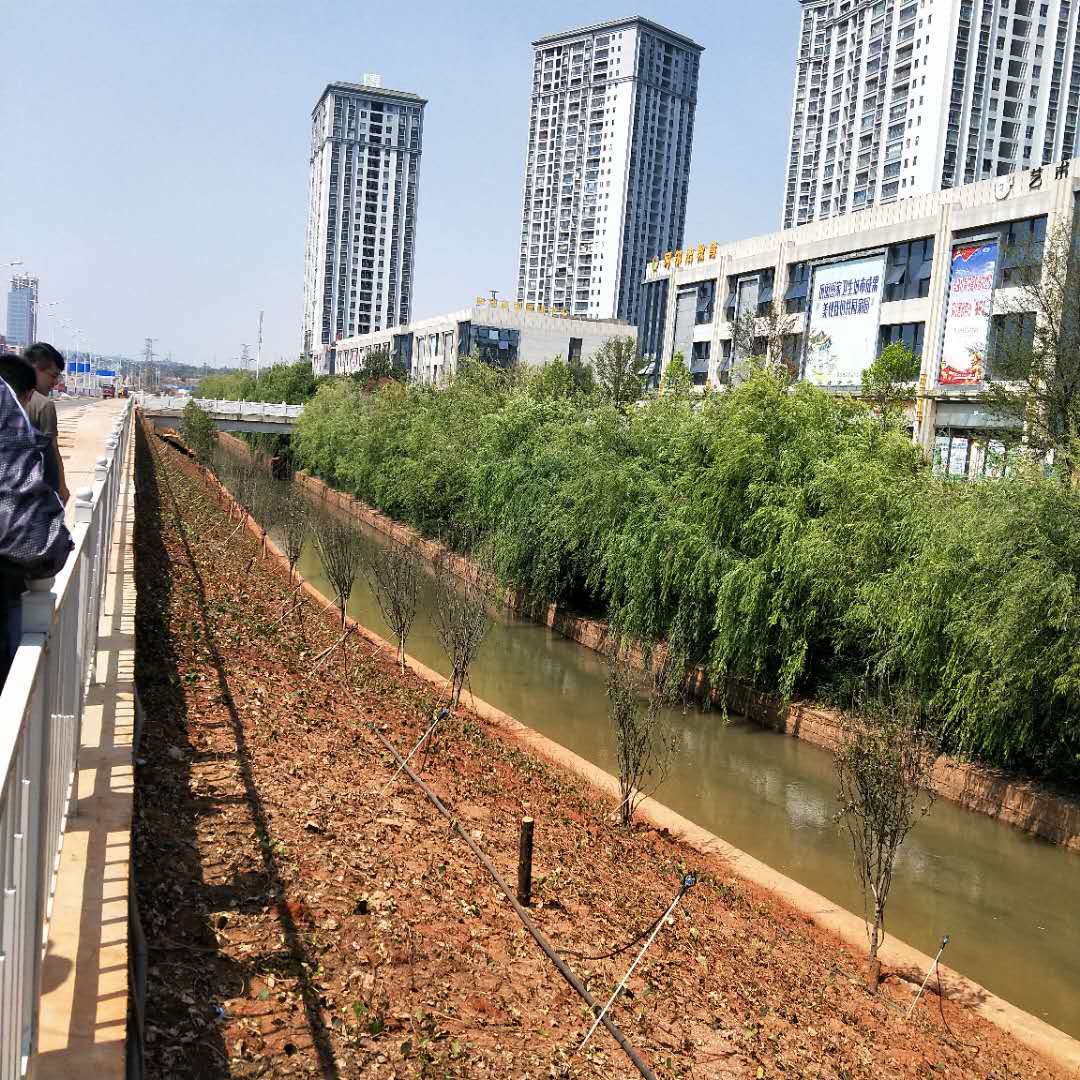 第四項(xiàng)目經(jīng)理部洛龍河（經(jīng)開(kāi)區(qū)段）河堤修復(fù)及截污工程完成竣工驗(yàn)收