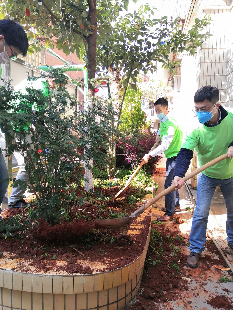 安裝分公司開展植樹節(jié)活動(dòng)