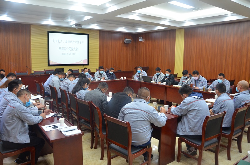 安裝分公司召開一季度綜合管理會暨“復(fù)工復(fù)產(chǎn) 疫情防控”宣貫學(xué)習(xí)主題黨日活動