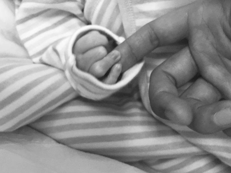 第十五直管項(xiàng)目部開(kāi)展職工攝影比賽