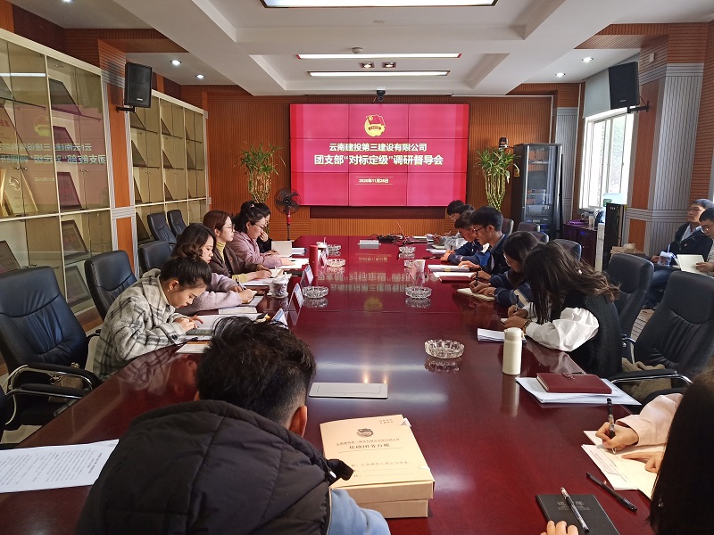 集團(tuán)團(tuán)委督導(dǎo)調(diào)研公司團(tuán)支部“對標(biāo)定級”工作