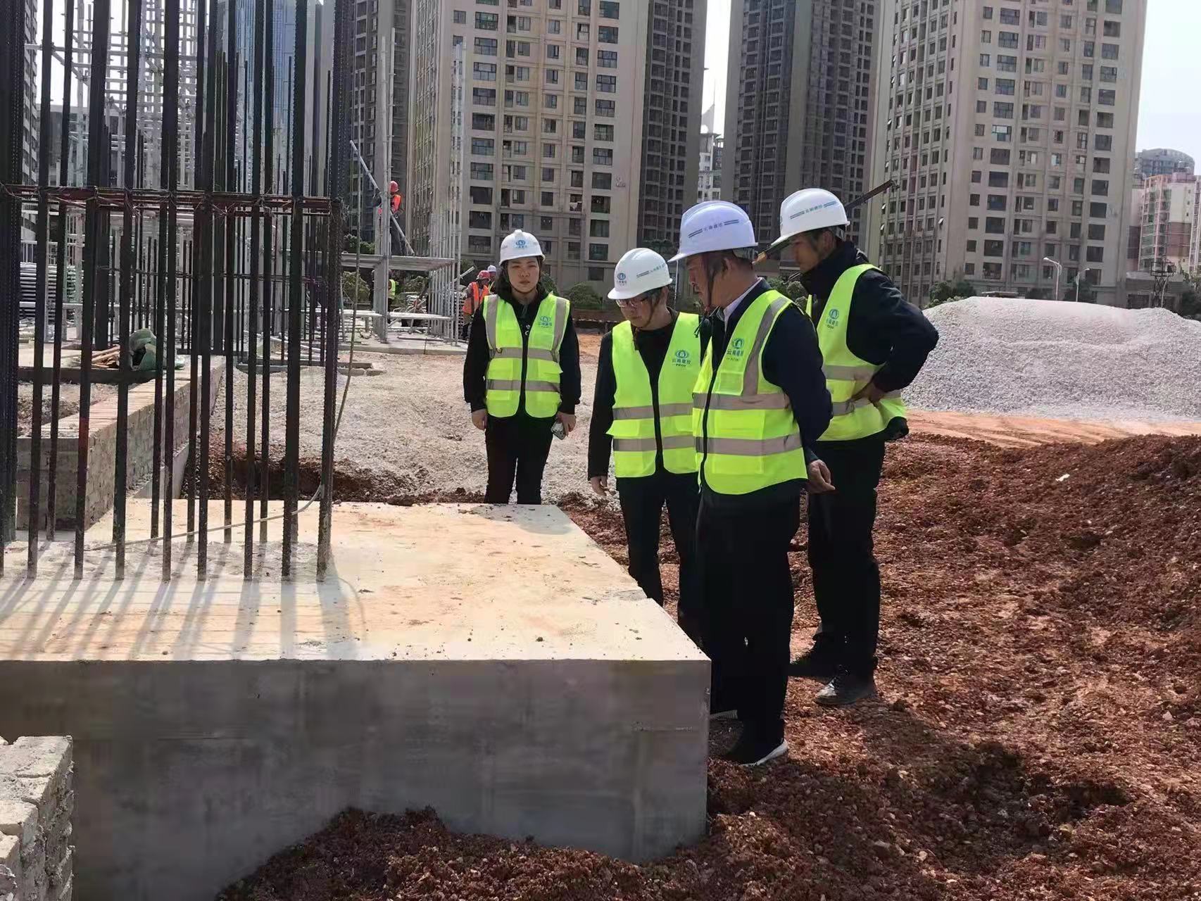 吳勇調(diào)研昆明卷煙工商物流一體化建設項目