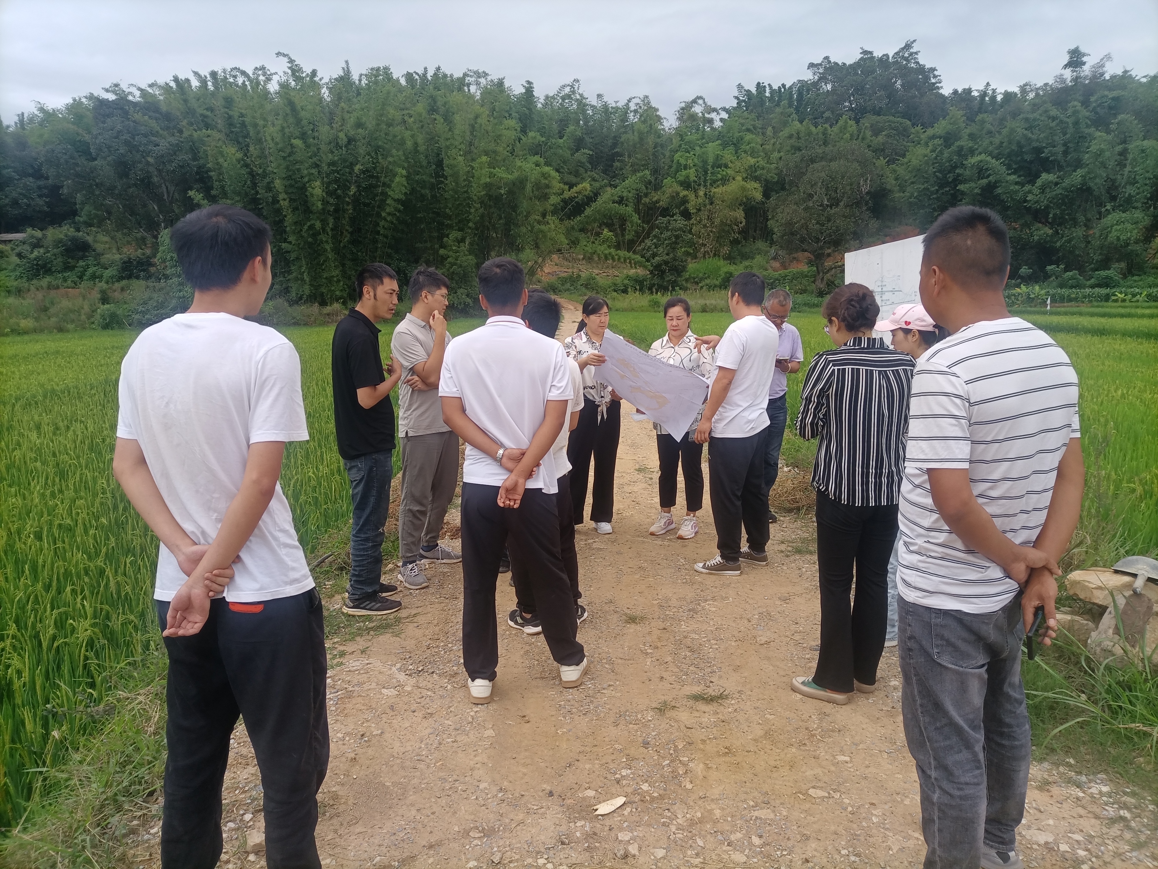 普洱市思茅區(qū)等5縣（區(qū)）耕地占補平衡項目—景谷縣7個子項目順利通過竣工驗收