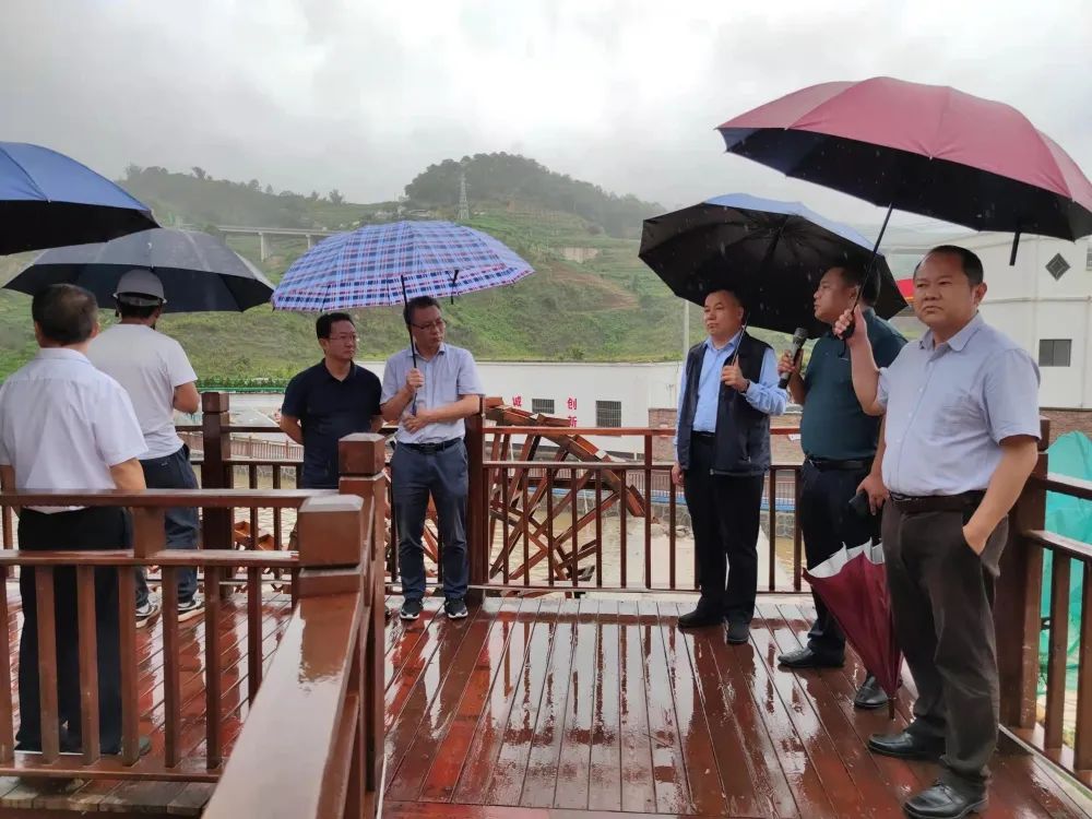 兩個項目傳來新消息！