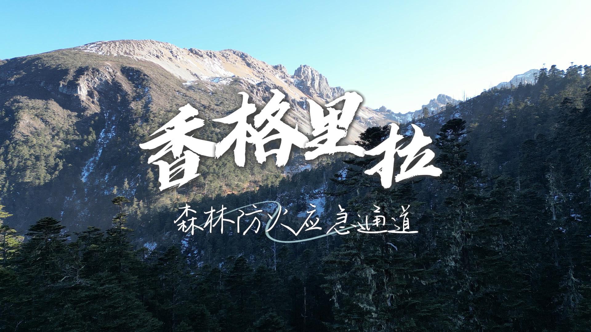 香格里拉森林防火應(yīng)急通道建設(shè)項(xiàng)目