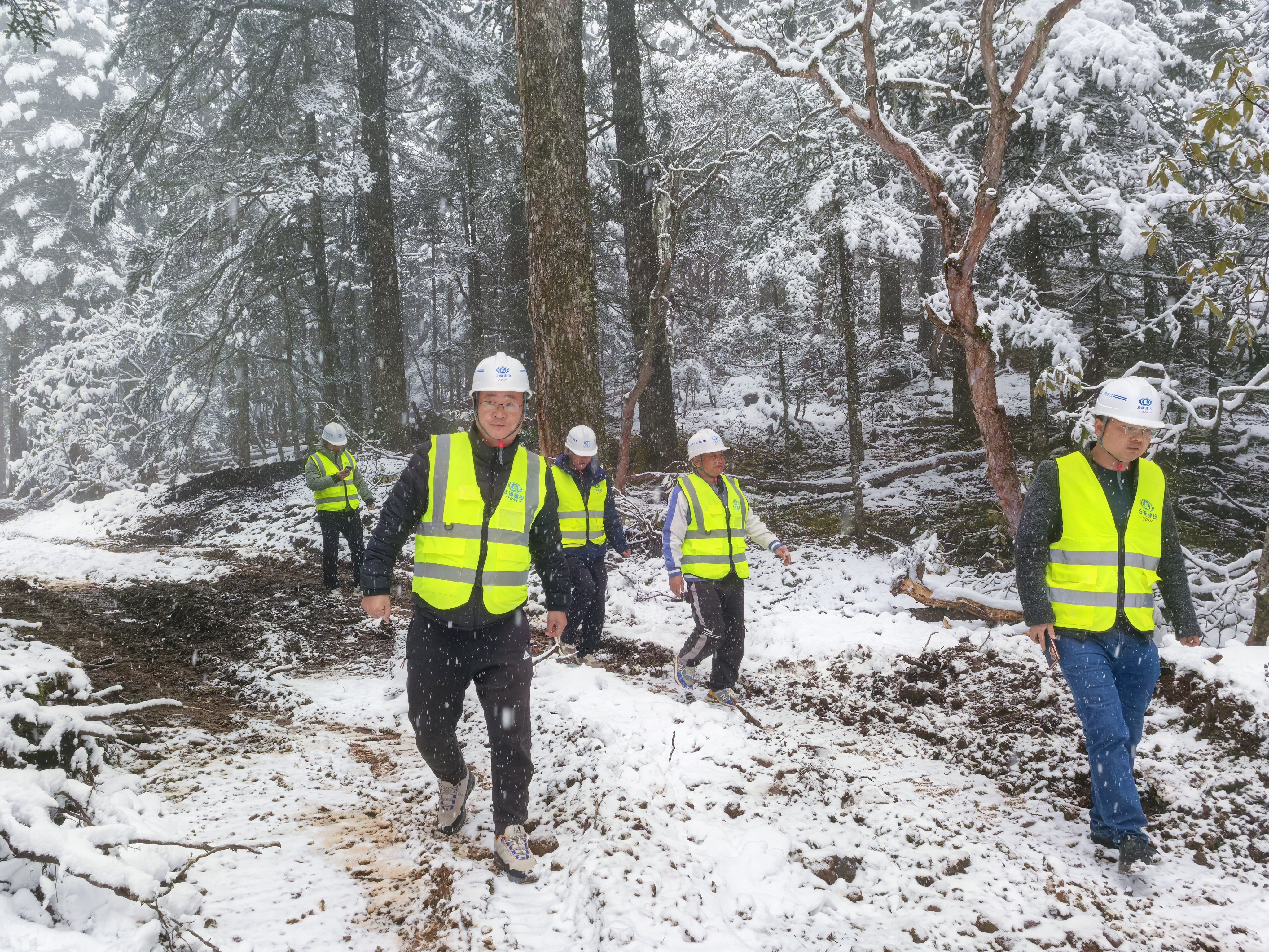 香格里拉森林防火應急通道建設項目：護好青山萬重 擦亮幸福底色