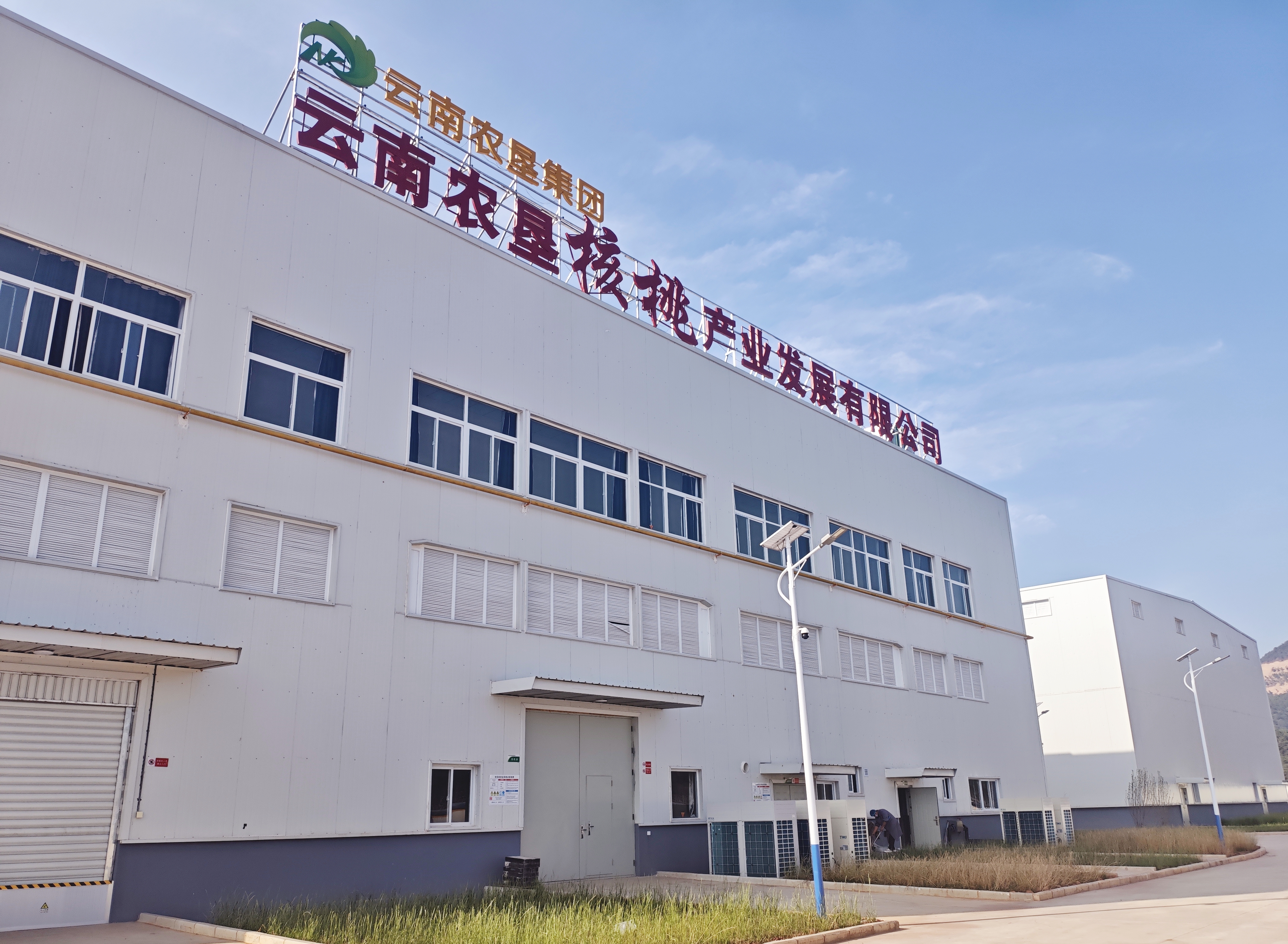 奮戰(zhàn)二季度丨云南農(nóng)墾大理核桃產(chǎn)業(yè)標(biāo)準(zhǔn)化加工項(xiàng)目（一期）順利通過(guò)竣工驗(yàn)收