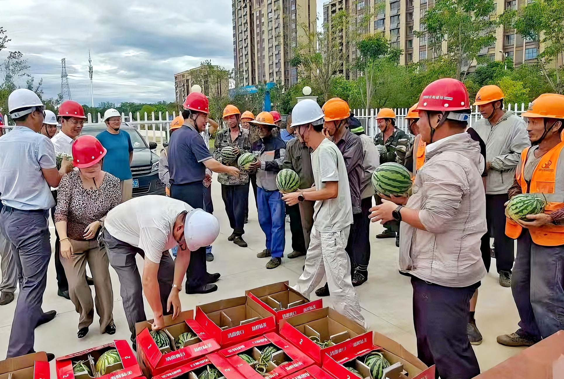 安慶醫(yī)藥高等?？茖W(xué)校校長朱慶豐到項目調(diào)研慰問